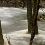 What to Do Before, During and After a Flood