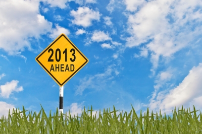 2013 2013 financial goals