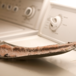Spry Dryer: 5 Keys to Maintaining Your Dryer