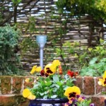 6 Ideas for a Stunning Patio