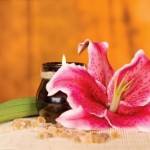 Flower Feng Shui: Beauty and Grace in Your Home